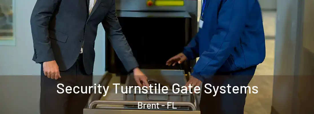  Security Turnstile Gate Systems Brent - FL