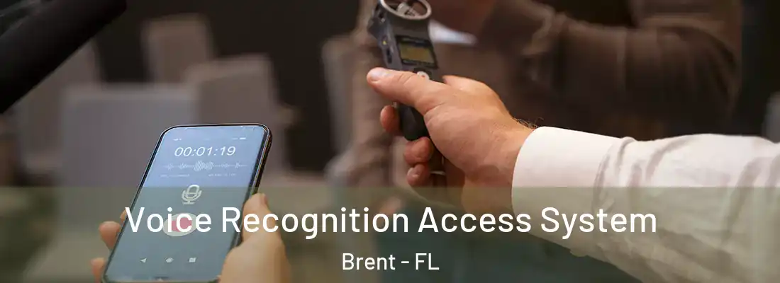  Voice Recognition Access System Brent - FL